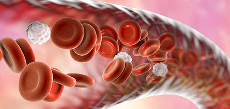 Hemato Oncologist in Chembur